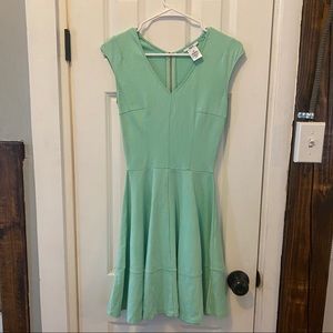 Bar III Mint Fit and Flare Dress